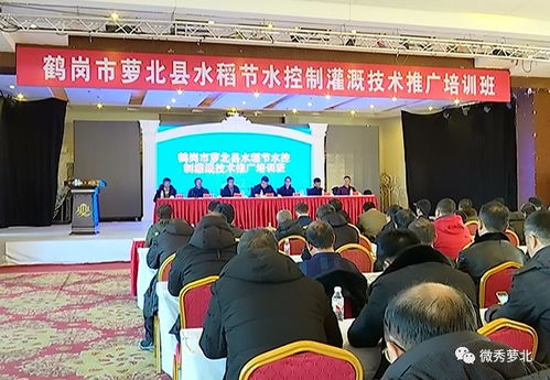 我县水稻节水控制灌溉技术推广培训班顺利举办，助力农业绿色发展